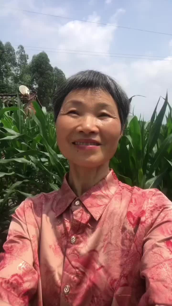 @grandma yan