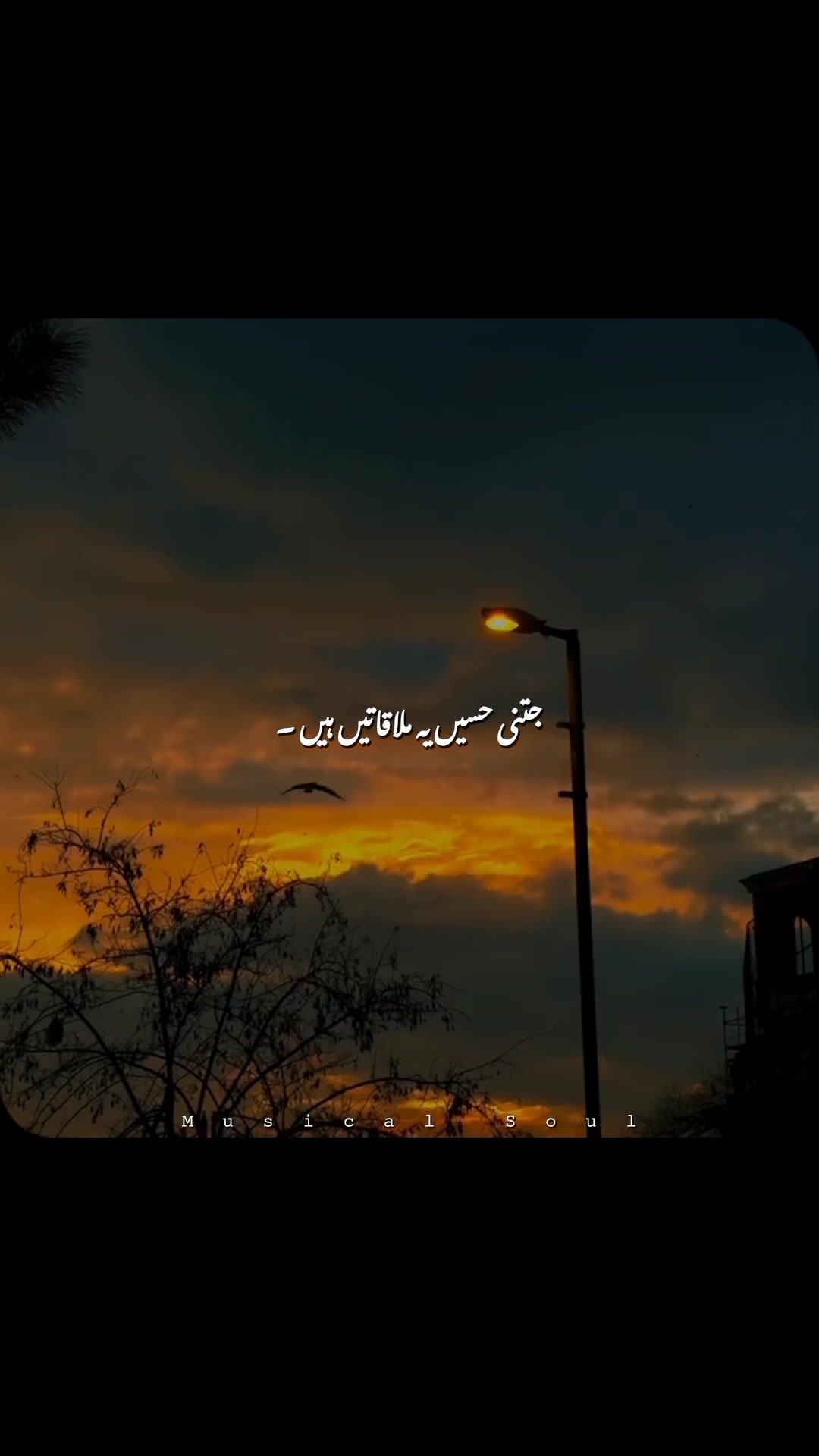 @𝑴𝑼𝑺𝑰𝑪𝑨𝑳 𝑺𝑶𝑼𝑳🎧