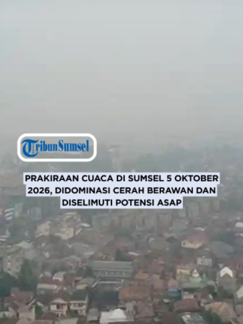 @Tribun Sumsel