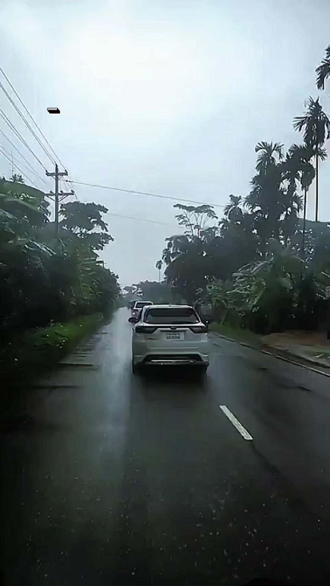 @বাংলাদেশ জাতীয় পার্টি বিজেপি