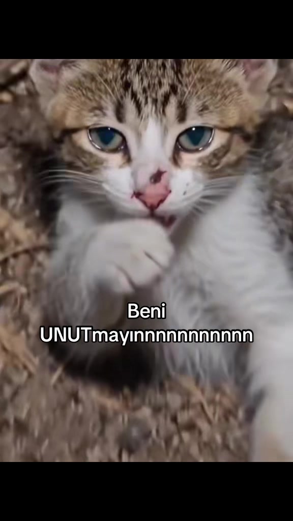 @yudummz_