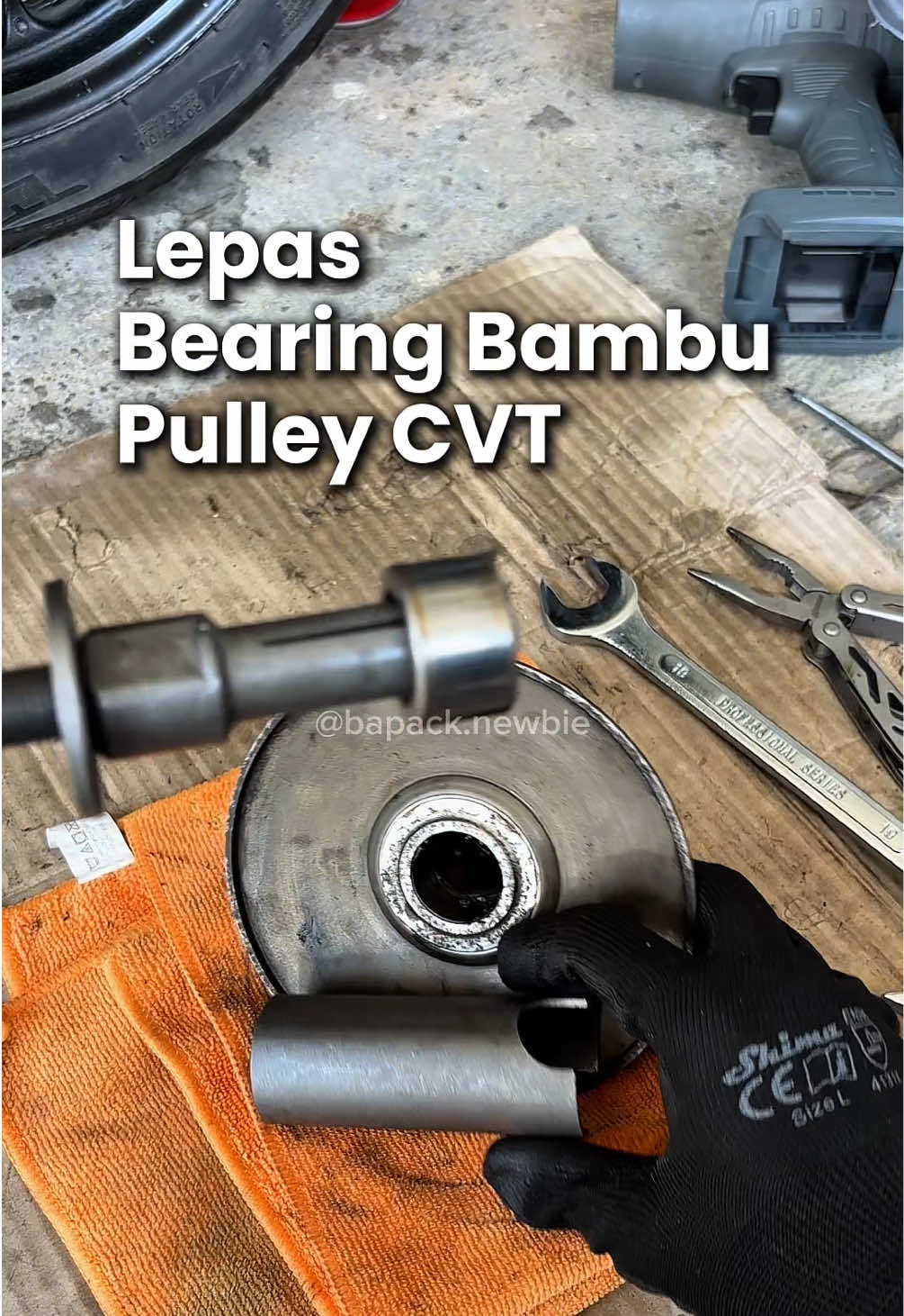 @Bapack Newbie