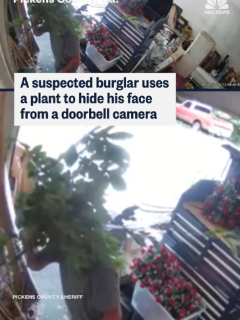 @nbcnews