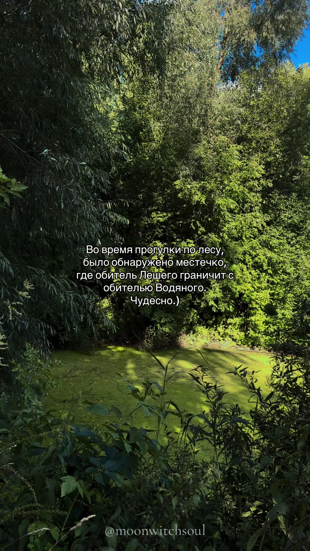 @ᚾ𝐀𝐍𝐀𝐒𝐓𝐀𝐒𝐈𝐘𝐀ᚾ