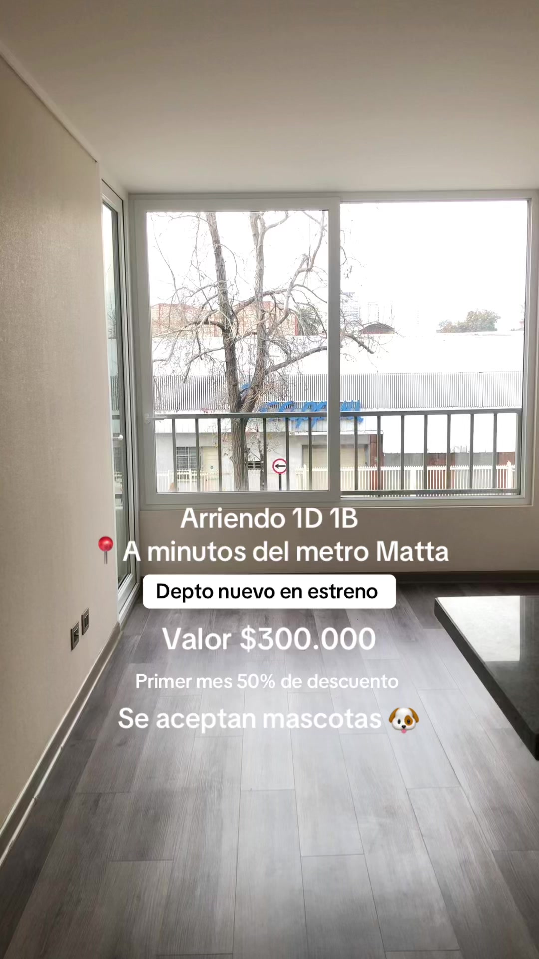 @Paula A | Gestión Inmobiliaria