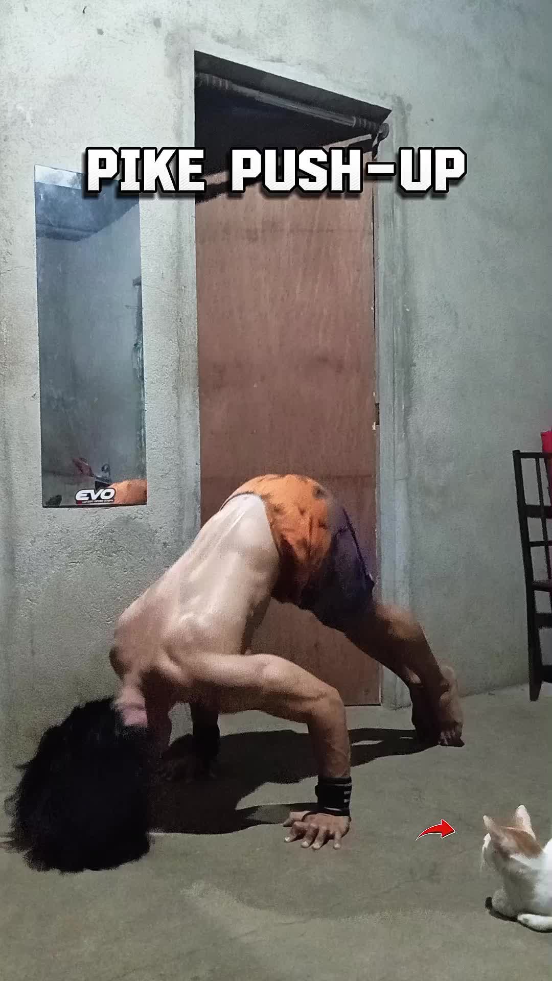 @aki