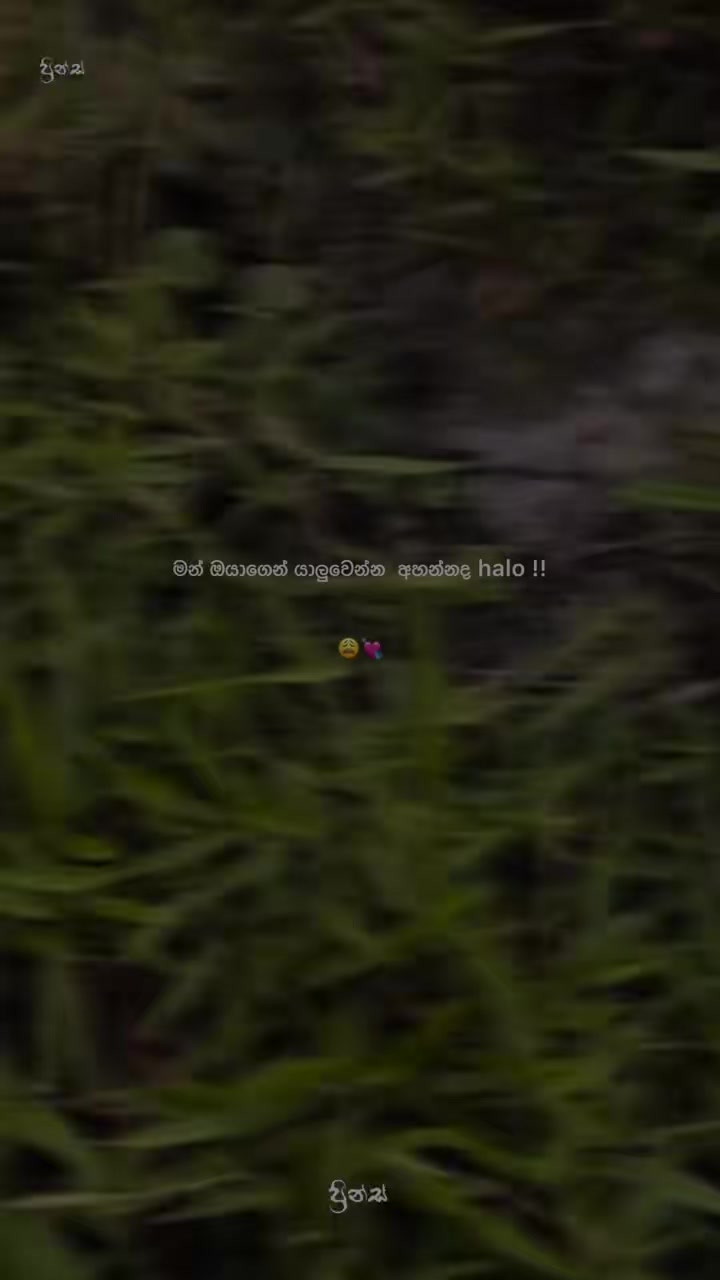 @"🥀𝗖𝗵𝘂𝘁𝘆 𝗠𝗮𝗹𝗹𝗶💔🥀"