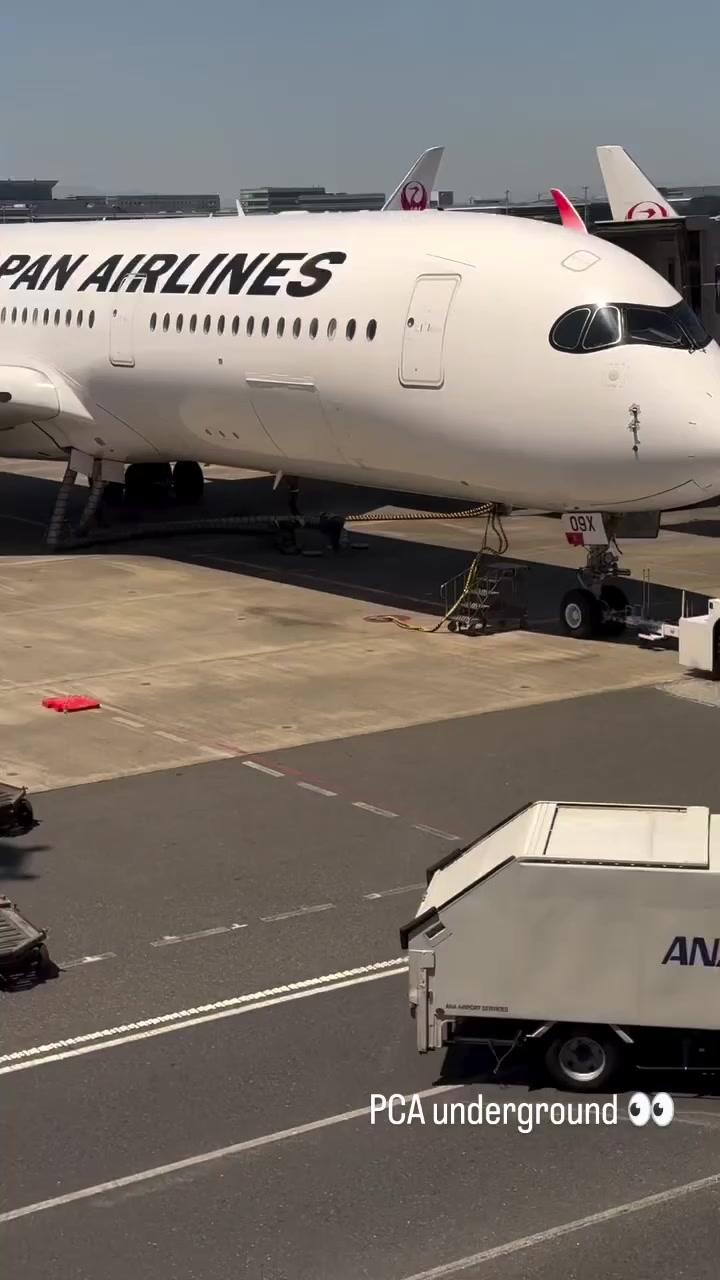 @airport ramp life