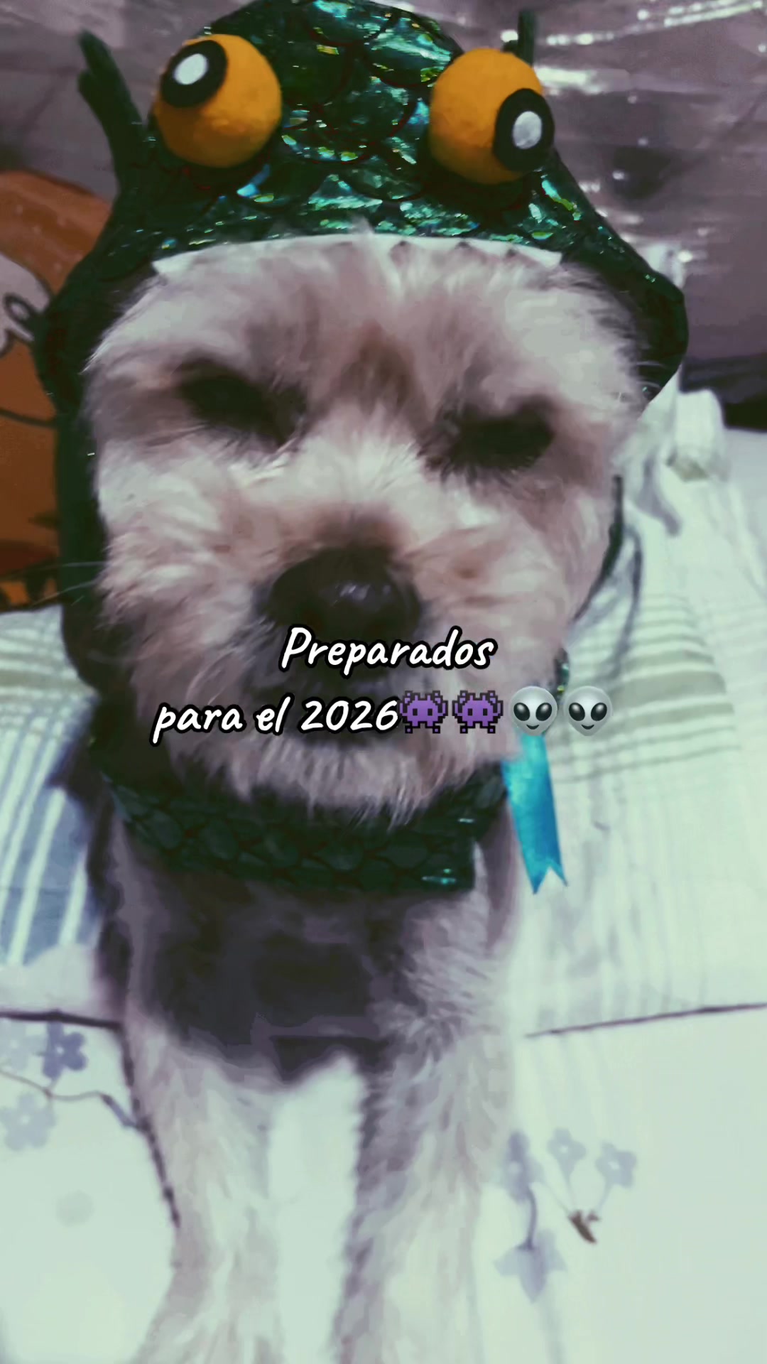 @Abel Raul Laura