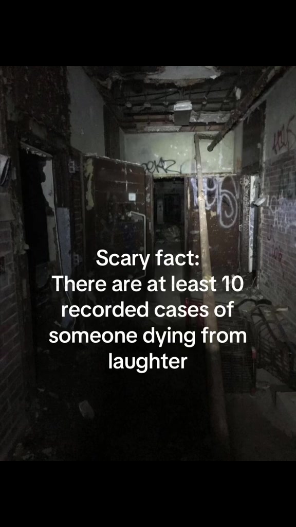 @Horror Fantasies