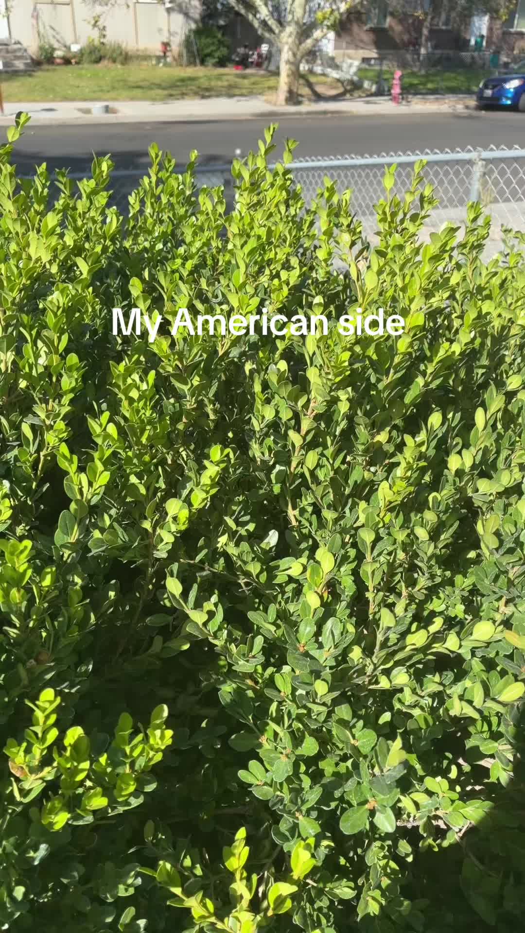 @𝓡𝓸𝓼𝓼🪽