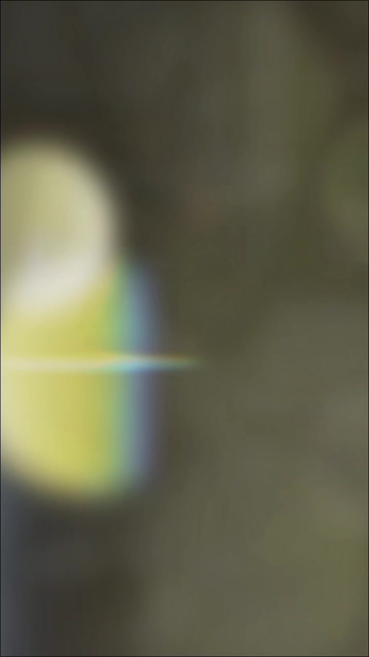 @❀♬ ຟh໐ ໓ēຟi ♬❀