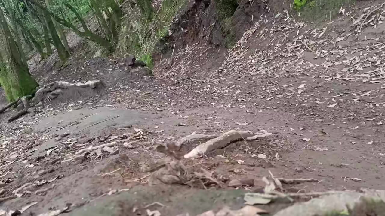 @César Ayala Mountainbiker