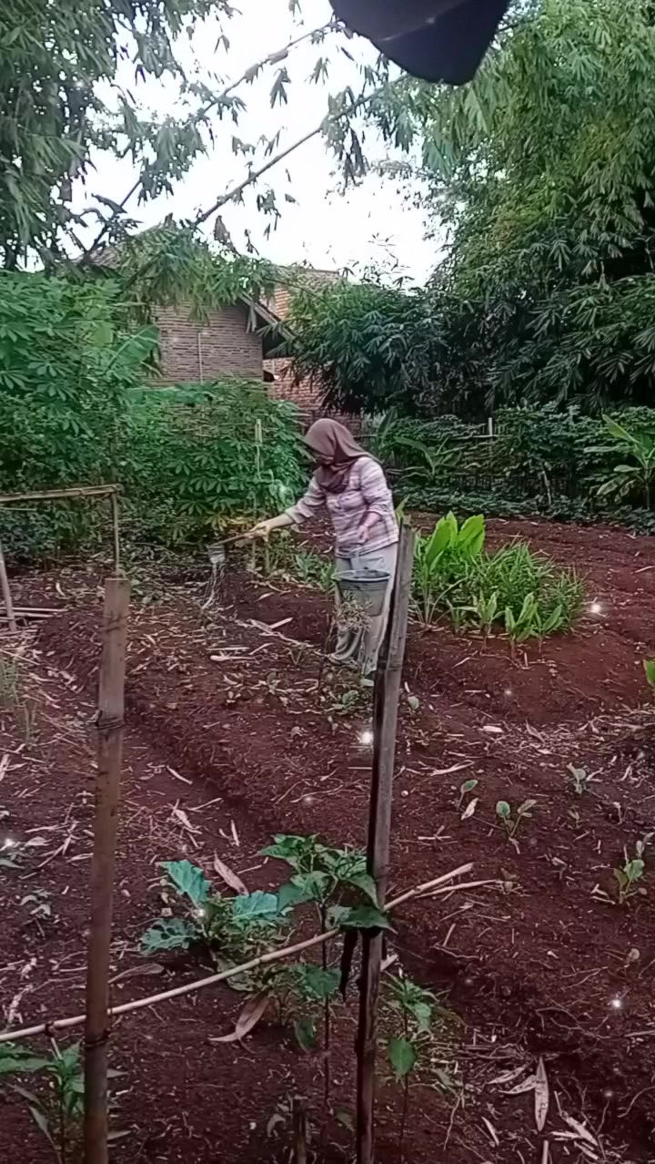 @hi