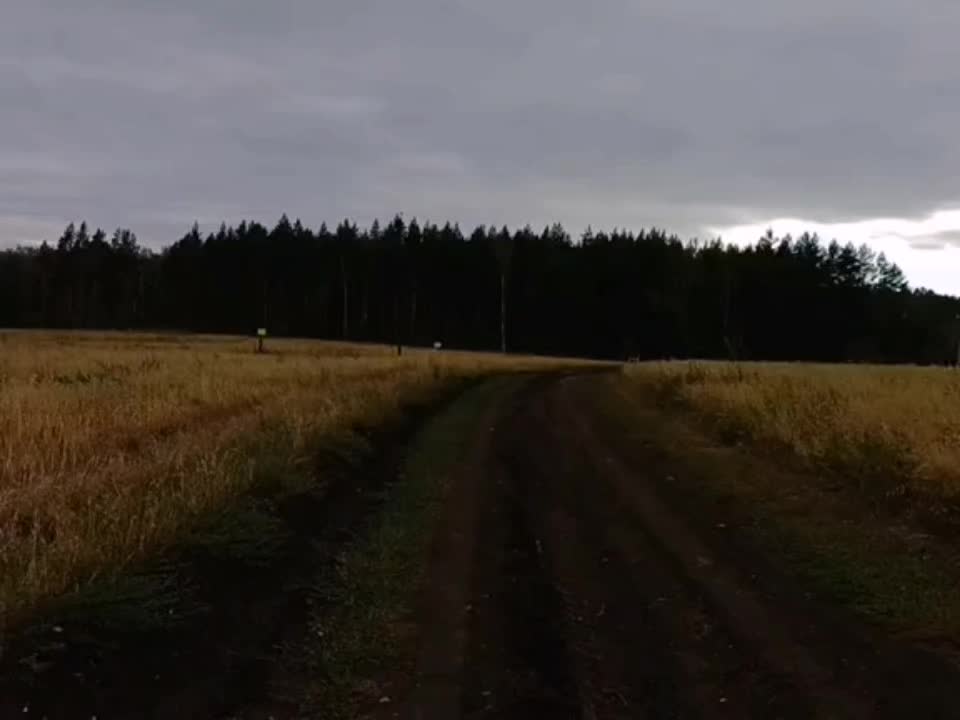 @☆