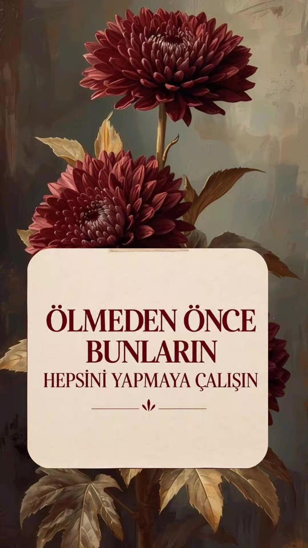 @hayat nereye gidiyor