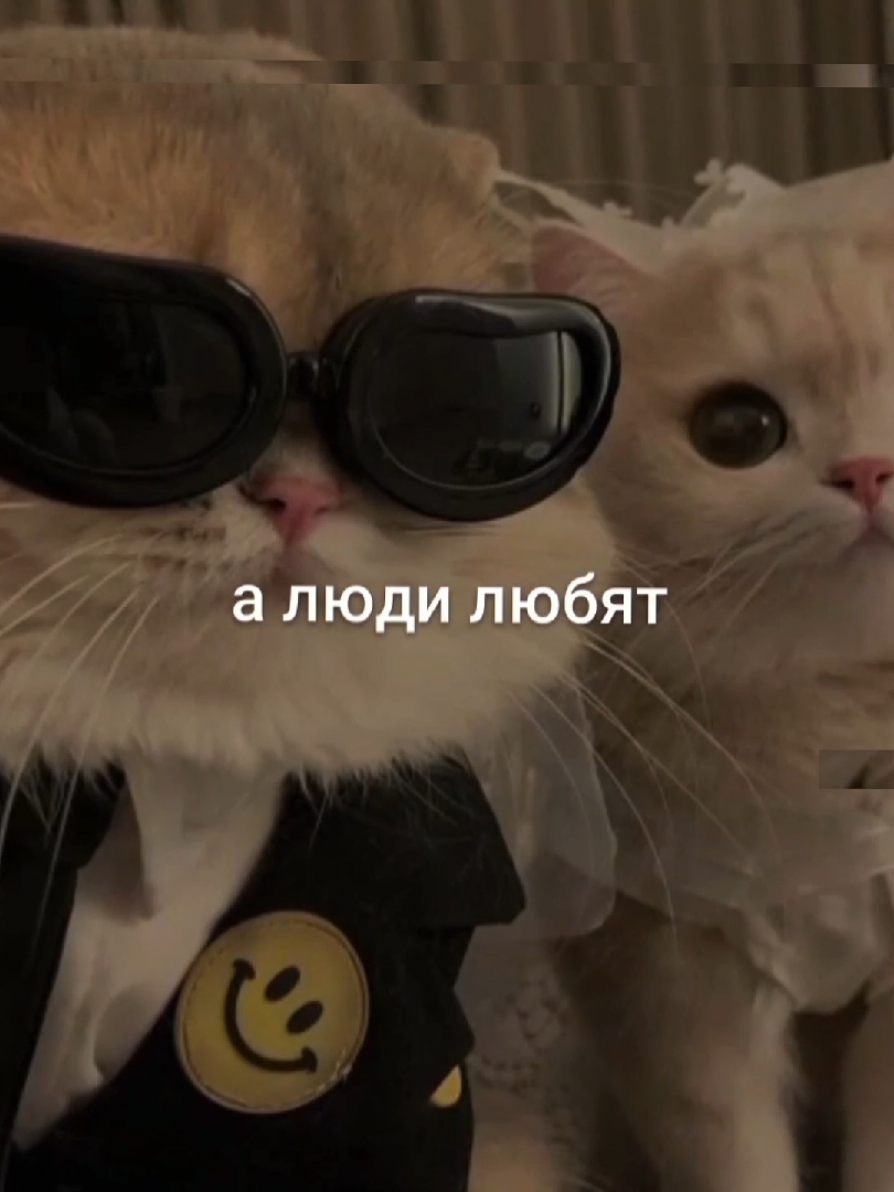 @жизнь в наушниках