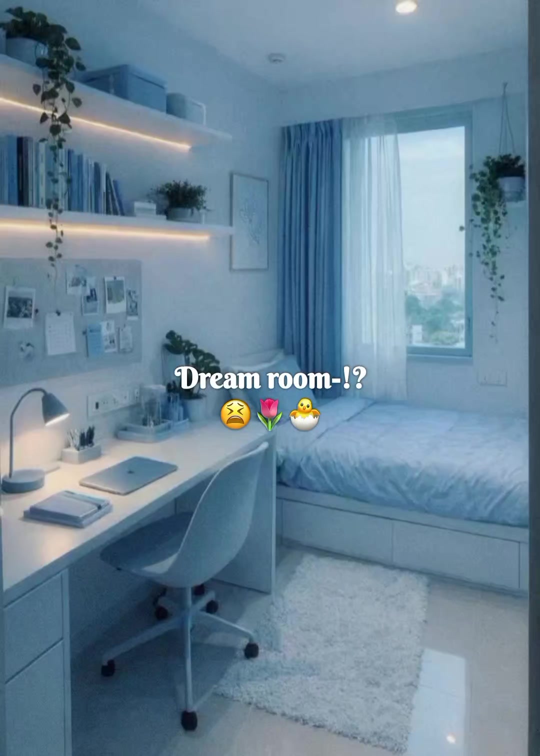 @୭ ˚. ᵎᵎ 苏麦娅──🦋