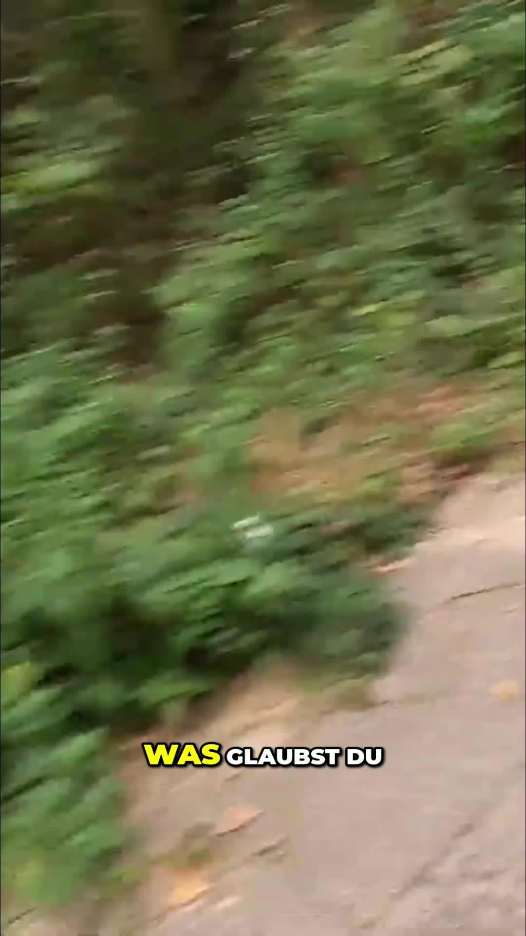 @Tiktok FYP