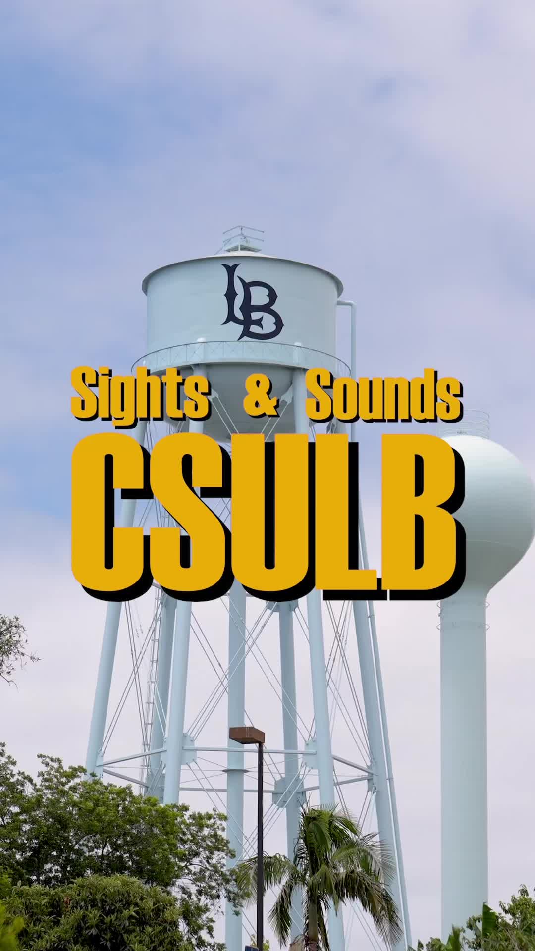 @csulbstudent