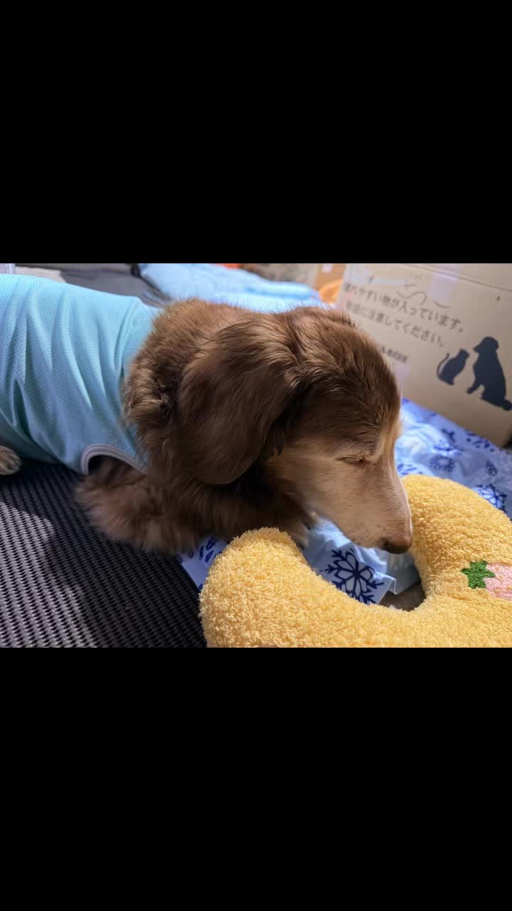 @しもひ