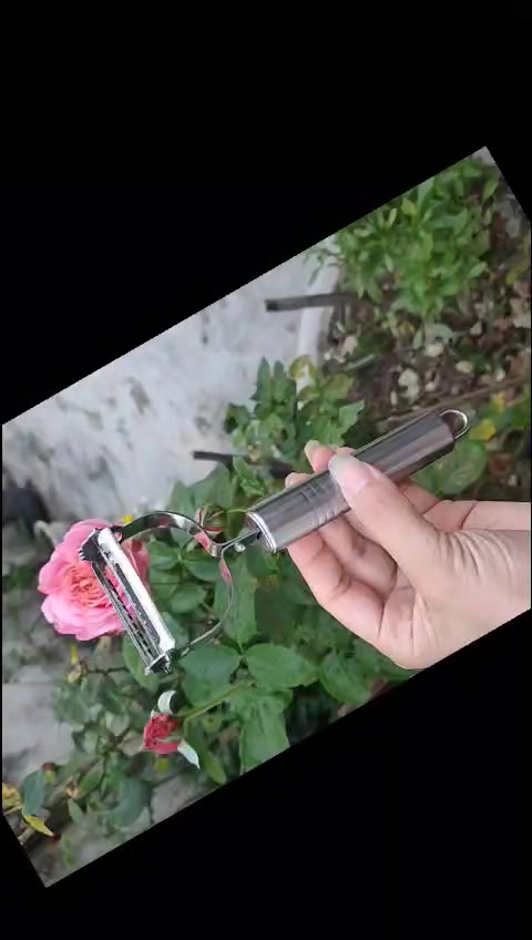 @Nguyễn Thiện Nh&acirc;n