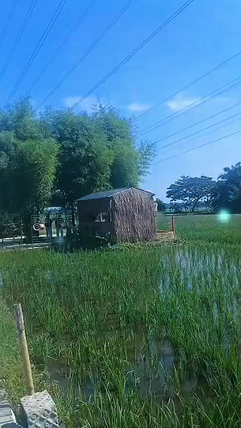 @Sri Rahayu