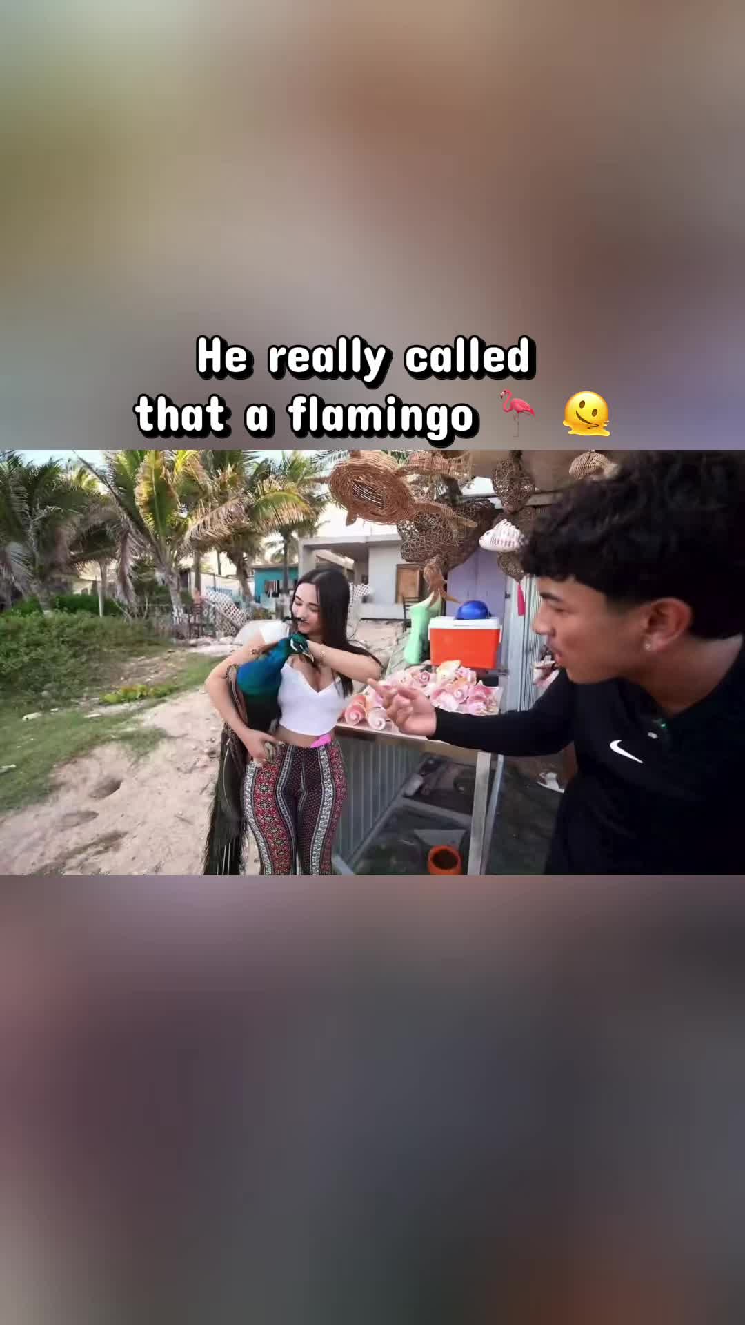 @viralclipvaultz