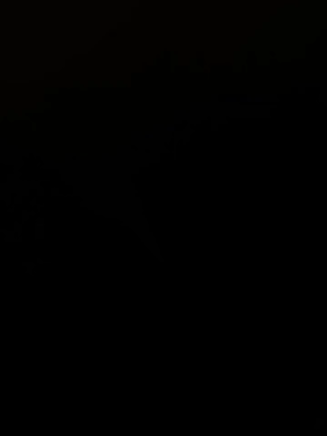 @Elegancia Fotográfica