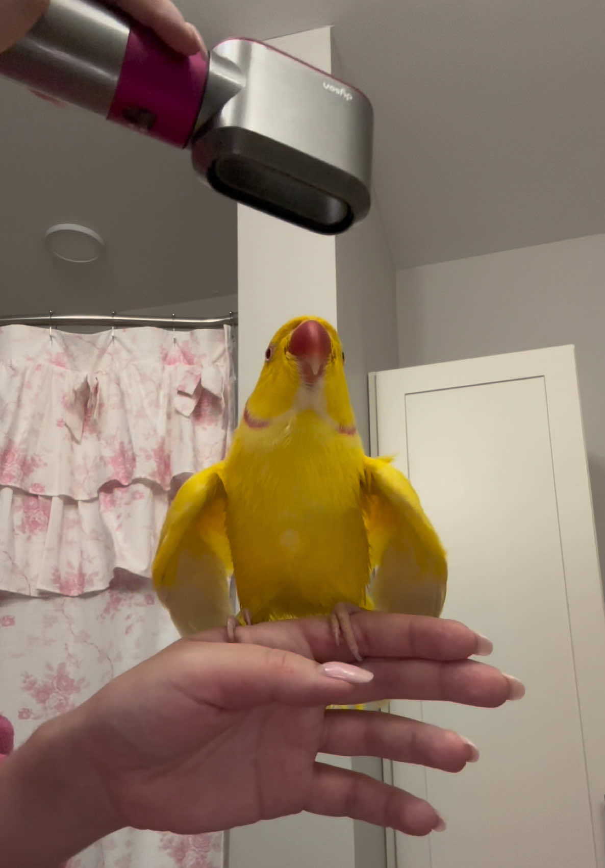 @TWINKIE 🐥