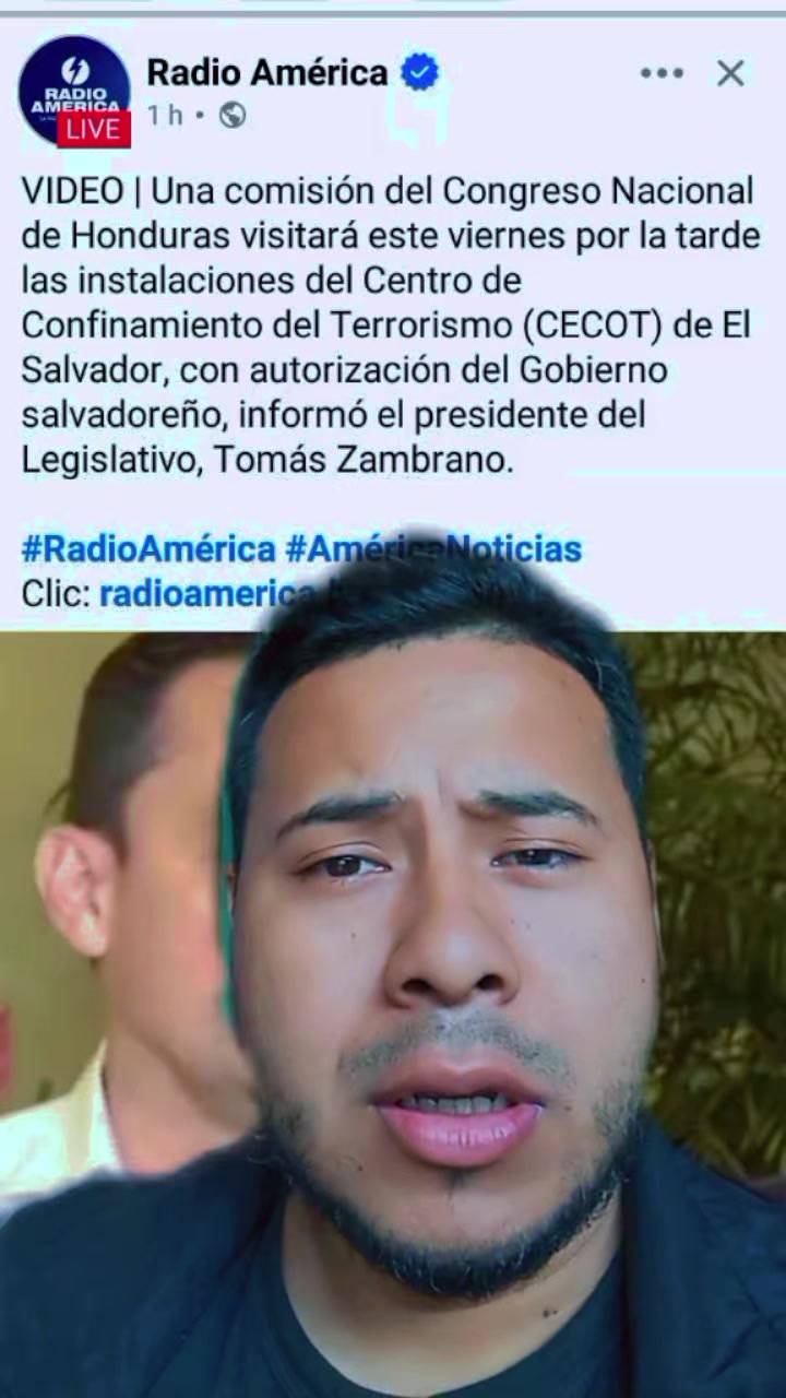 @mauroHD
