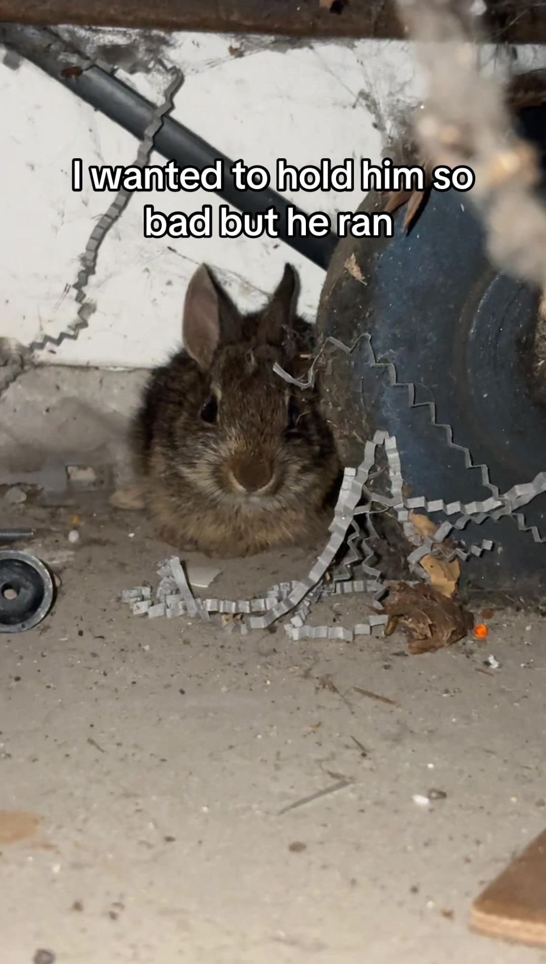 @totallynotsidspam
