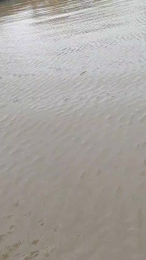 @arip19