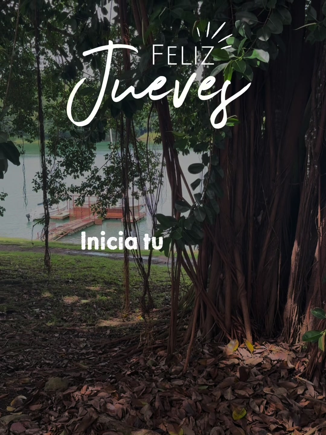 @Andr&eacute;s