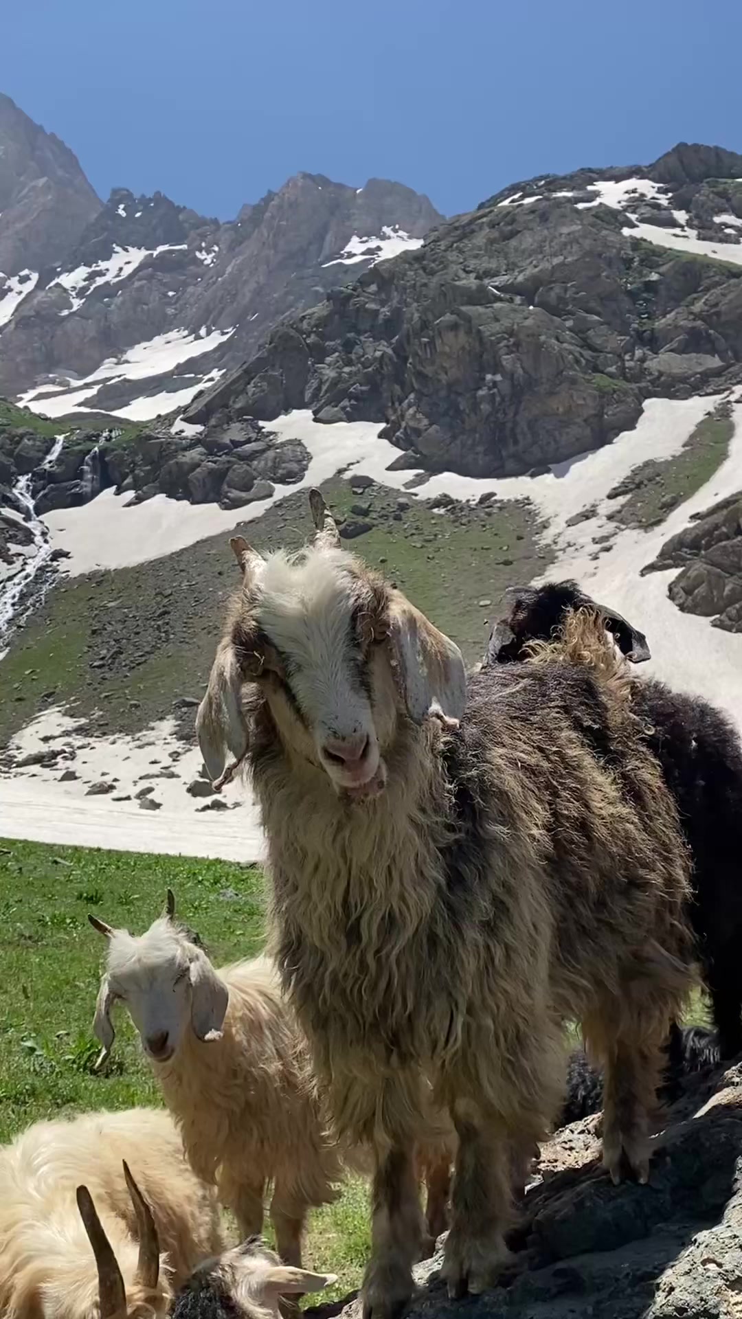 @Hakk&acirc;ri TV