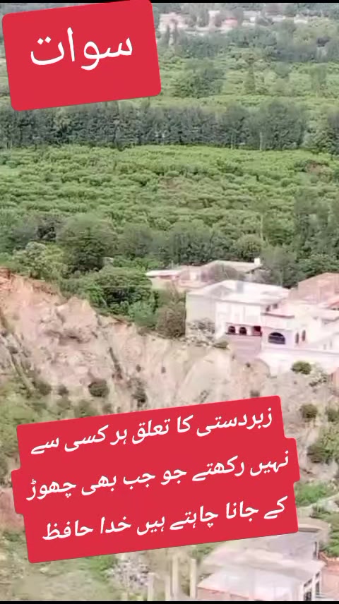 @Mano chakwali 🥰🥰🥰