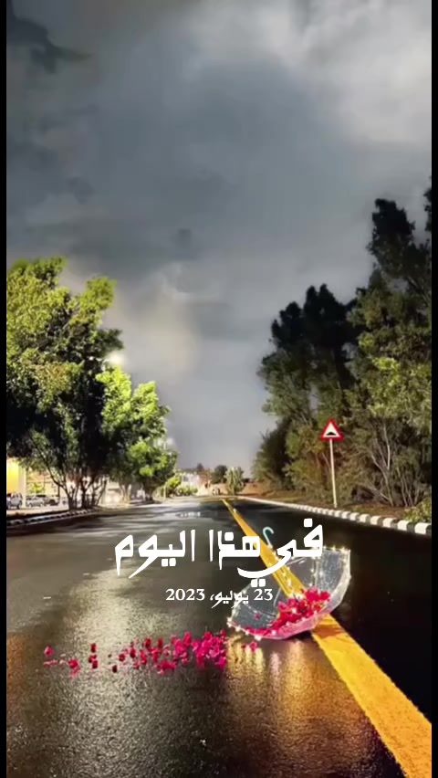 @اسيل عائشة