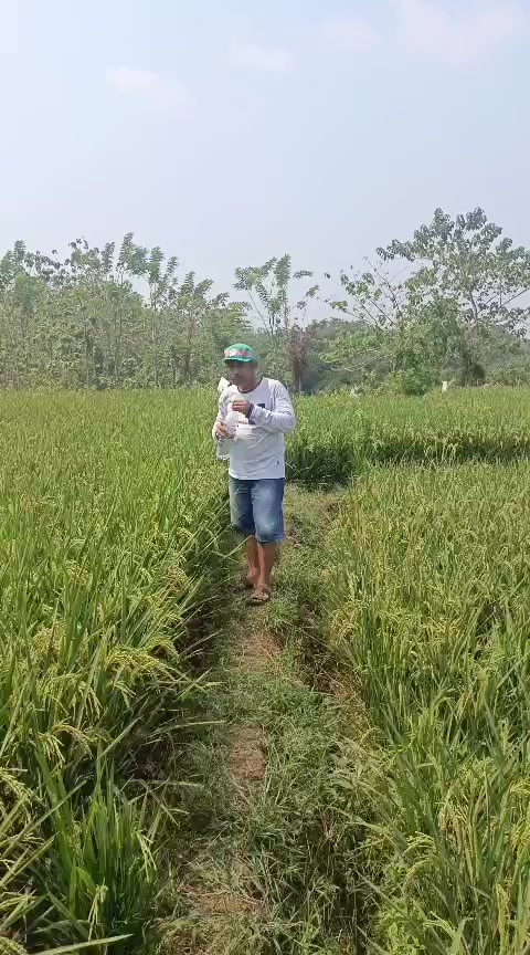 @mm