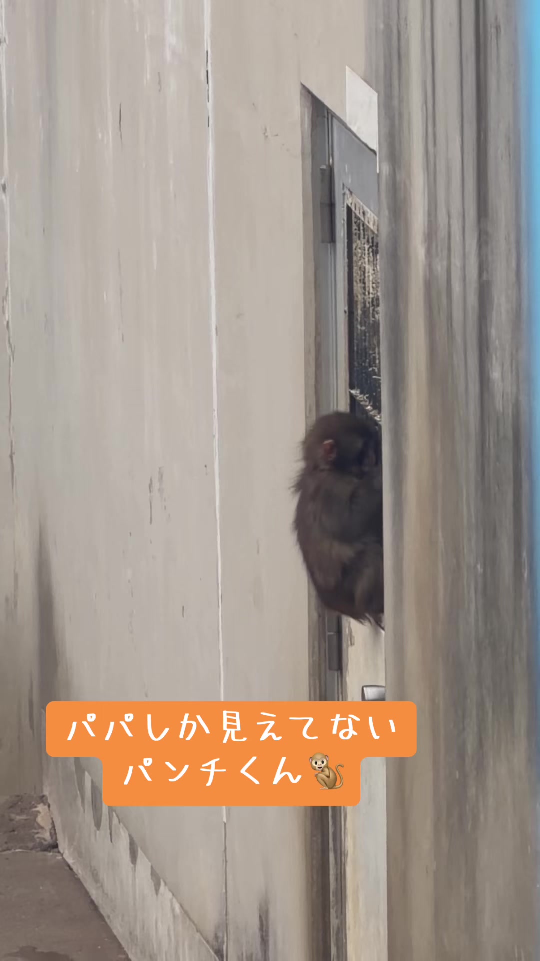 @パンチ