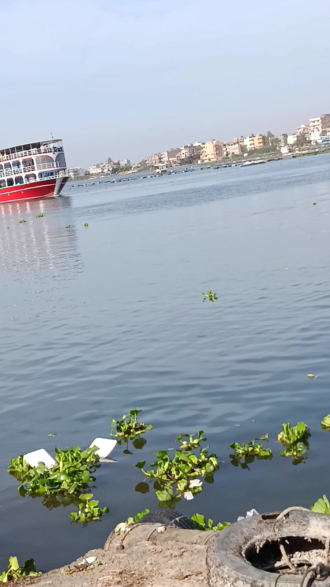 @MOHAMED HASSAN Rezk