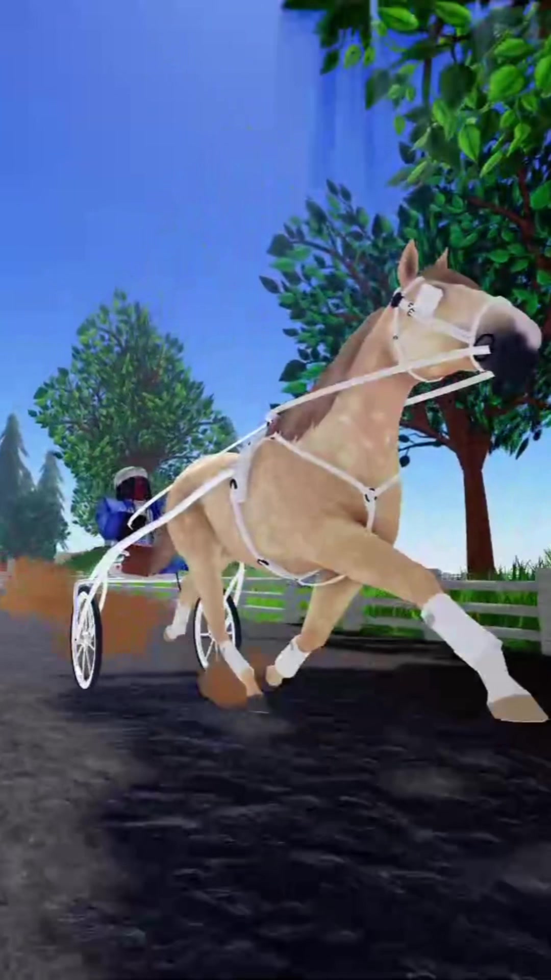 @3218stables.chris