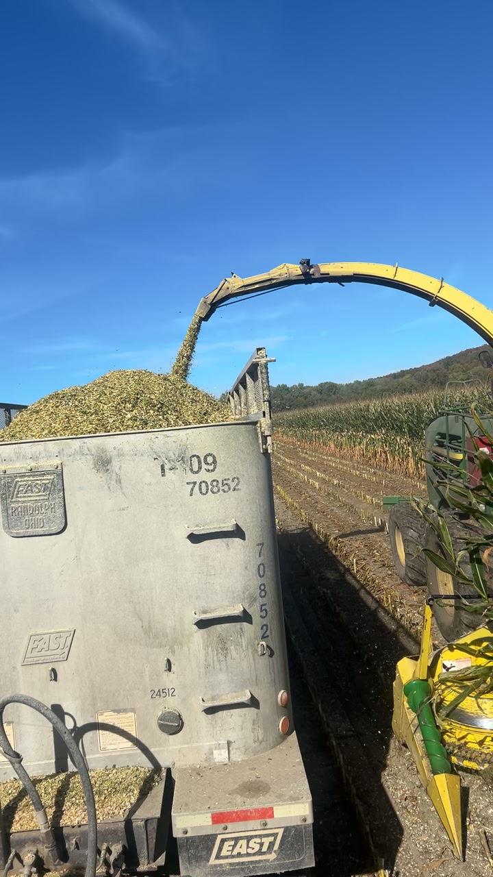 @802 farmers