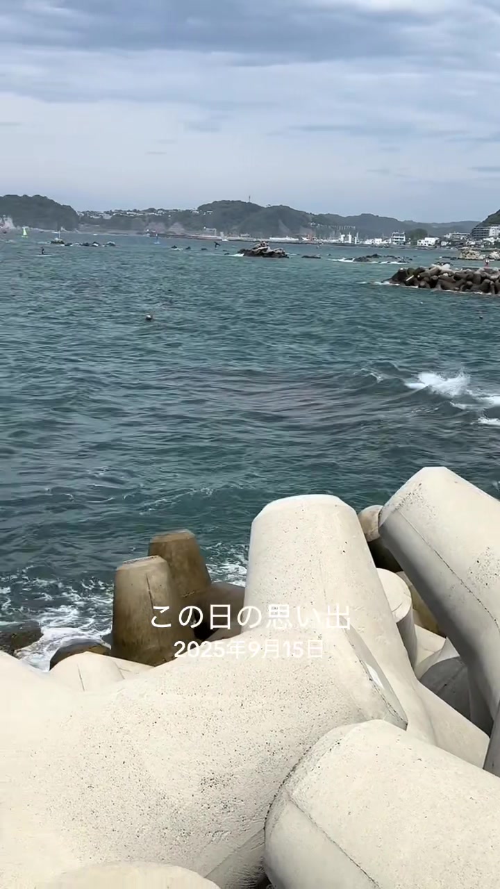 @にゃーにゃー♪🐟🪸
