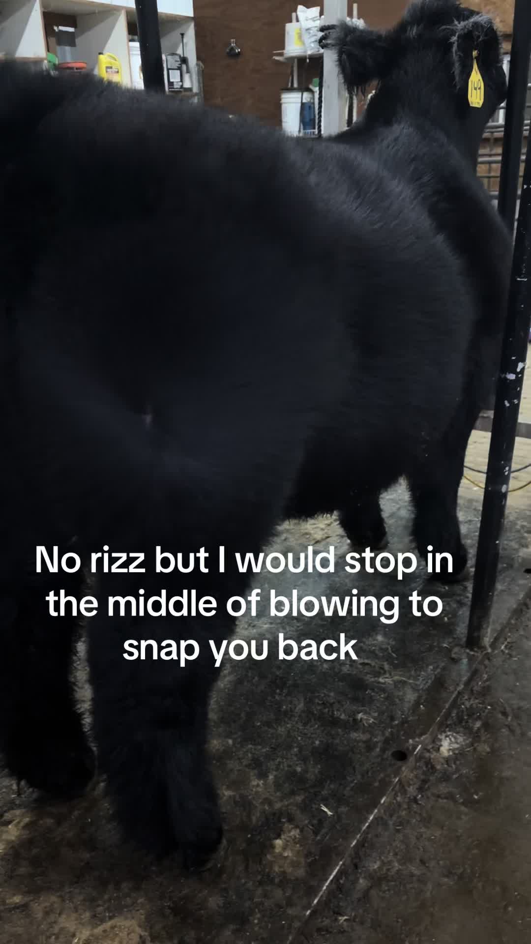 @Ryker Shurtz