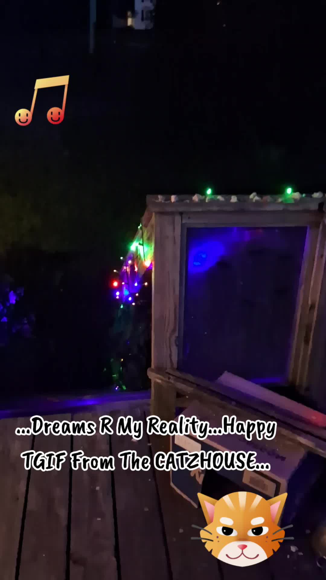 @Booh Hovey crazycatlady3