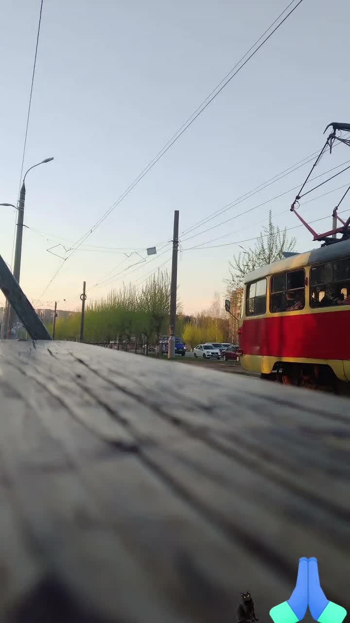 @Жувачка_MDZ🗣️
