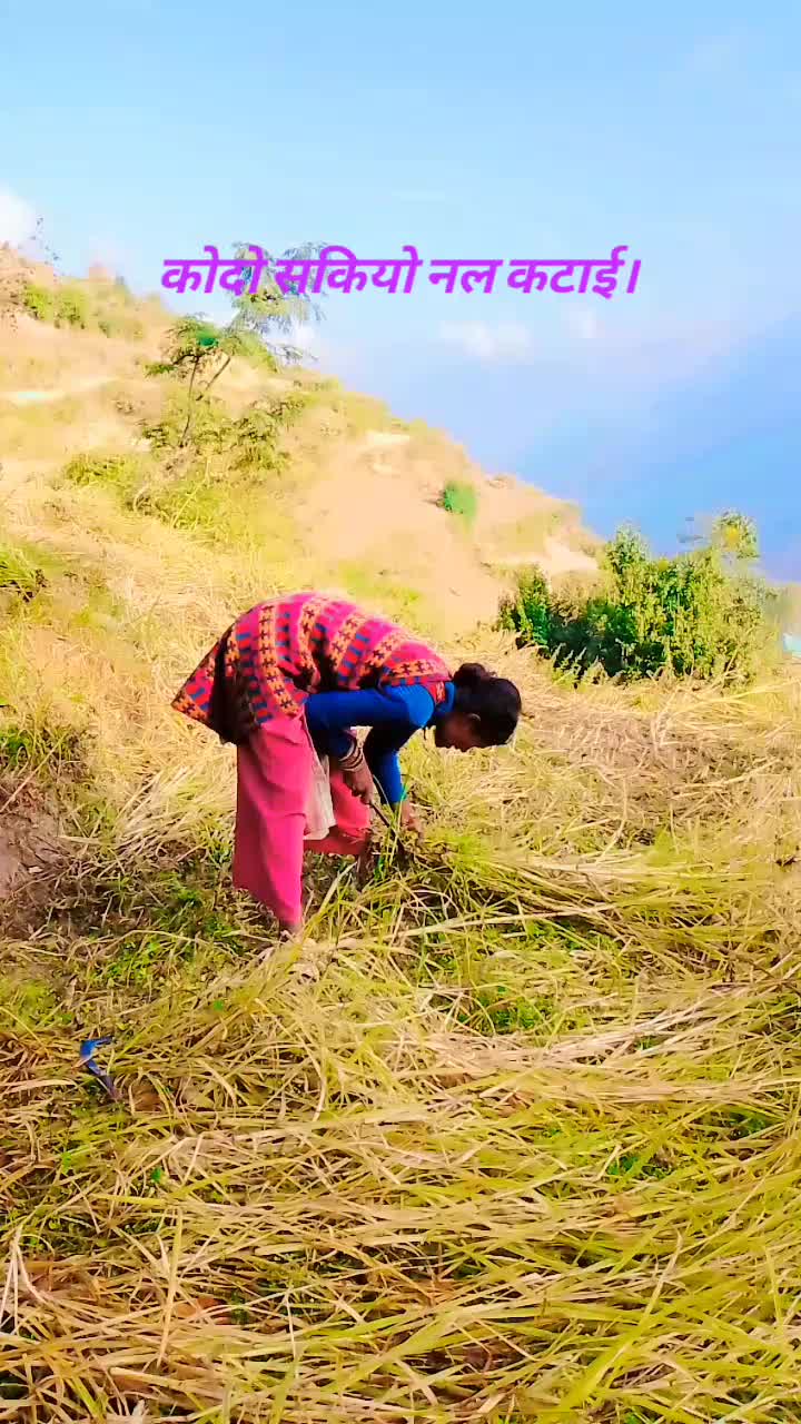 @गोबिन्द नेपाली