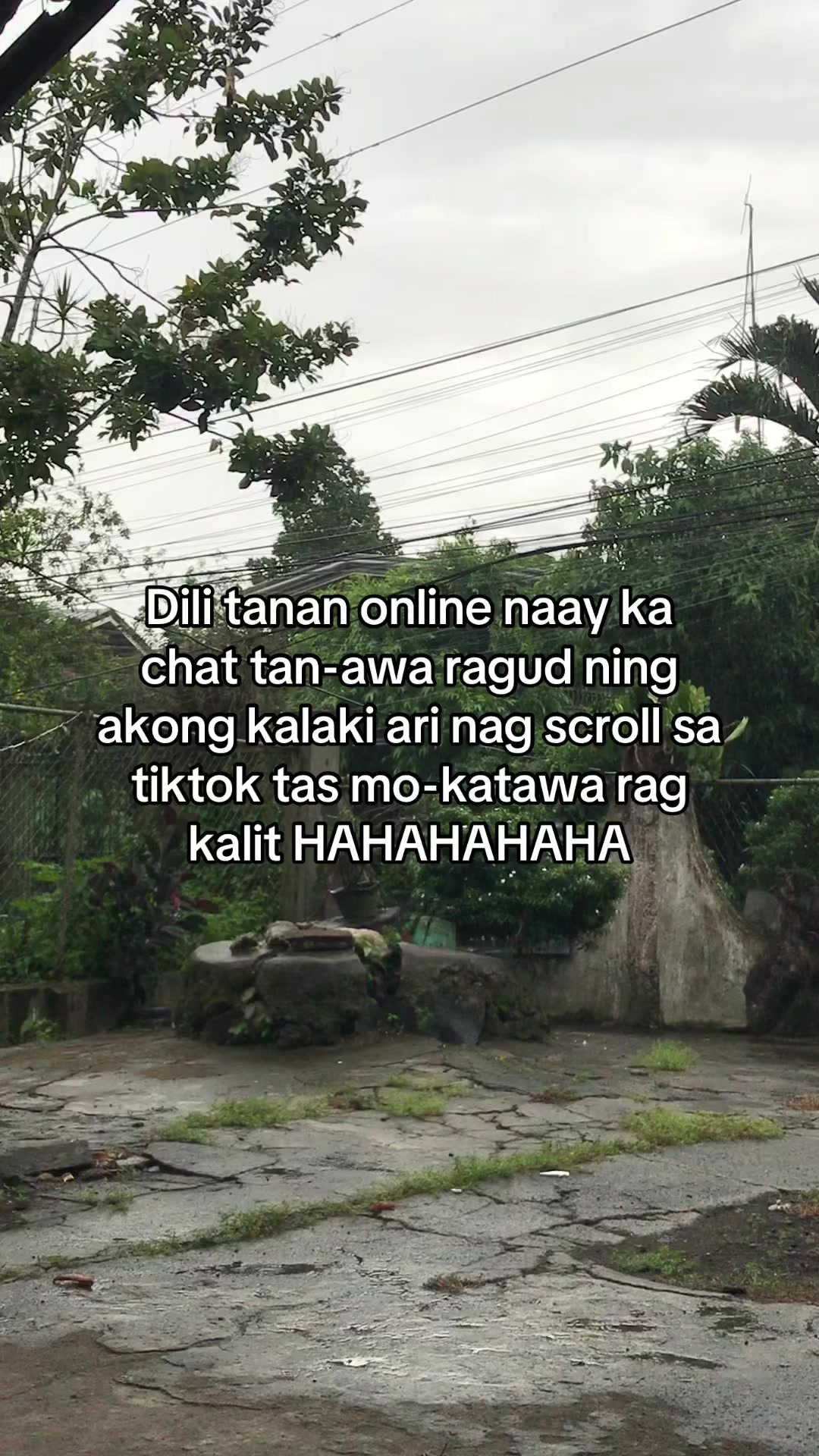 @Dinasure🤪