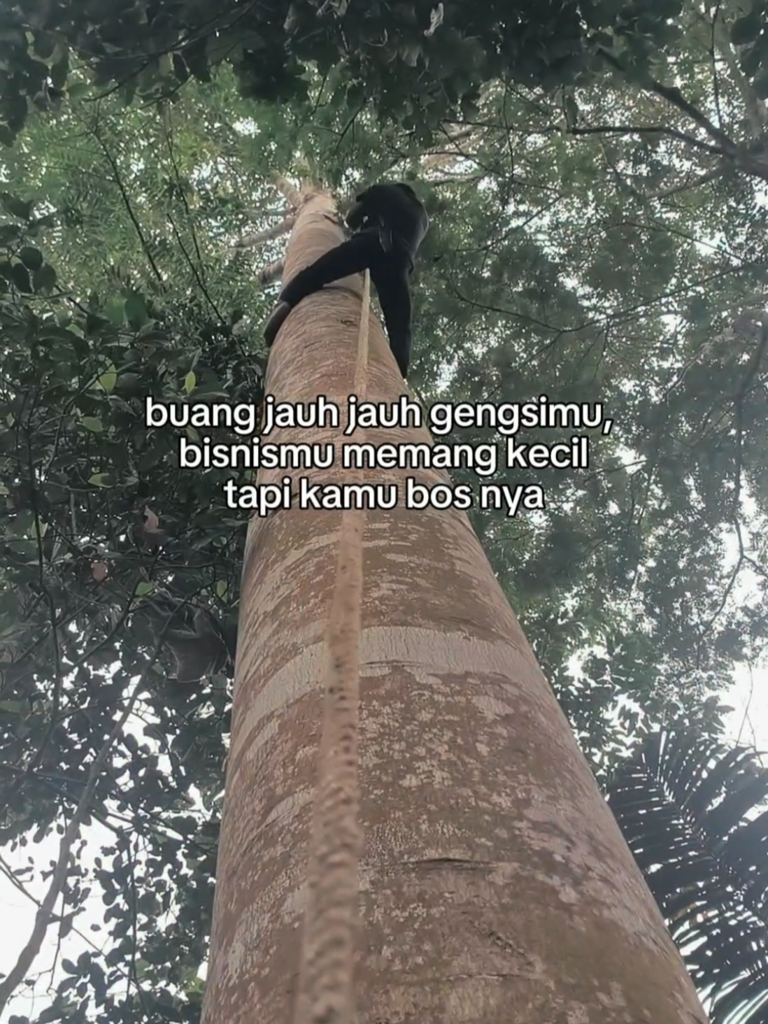 @᠌ᅠₕₐₙⱼᵤₐₙg