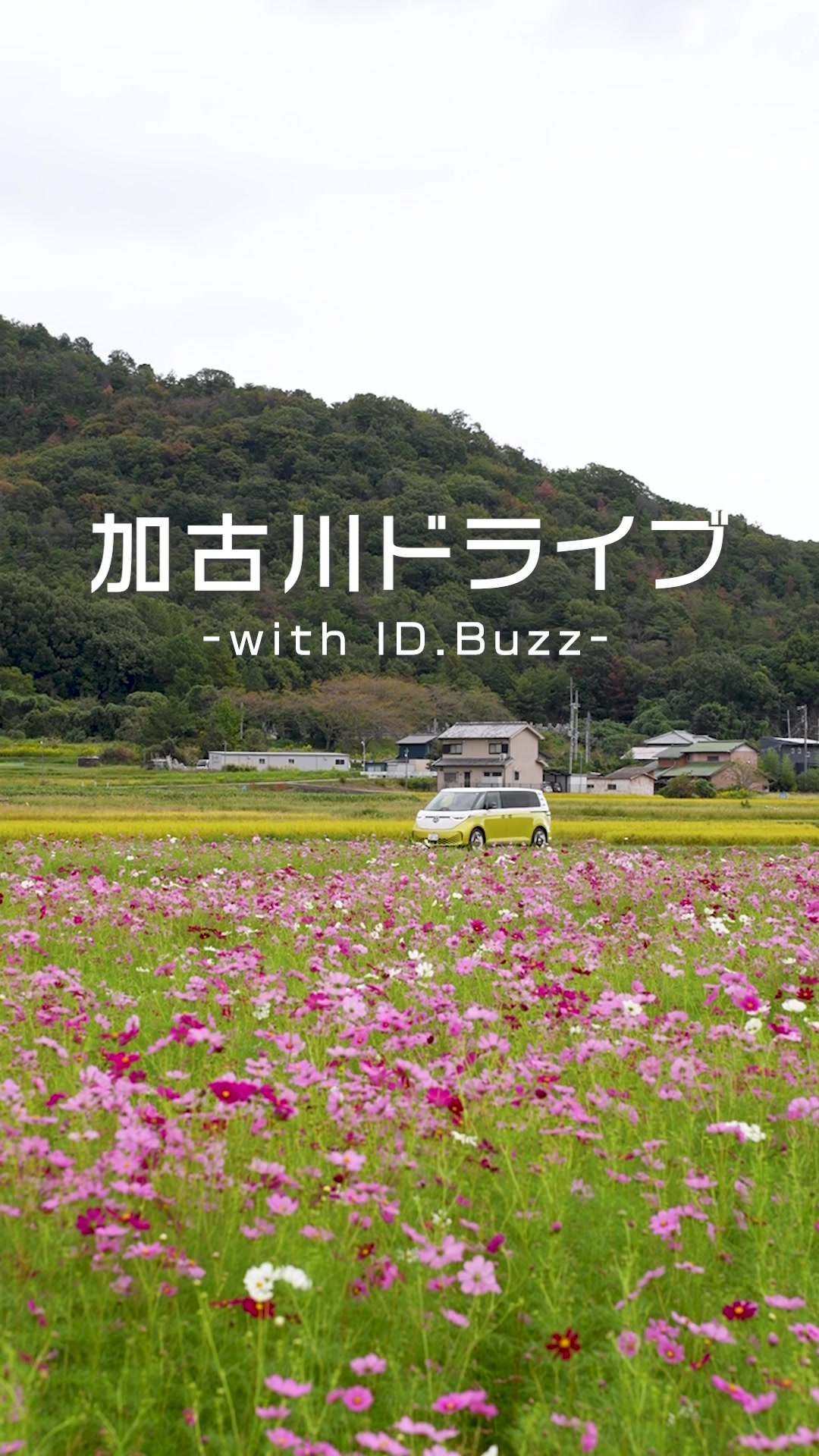 @フォルクスワーゲン加古川